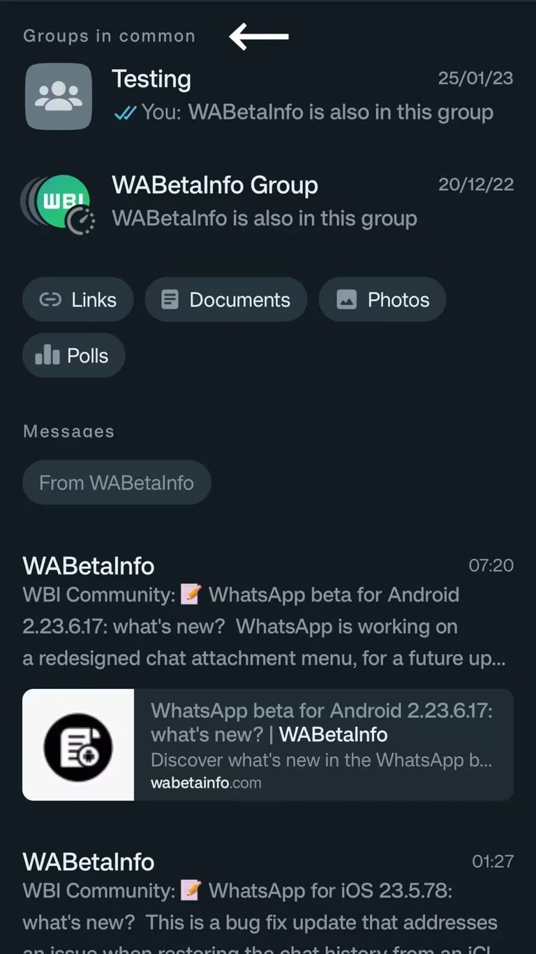 La nueva herramienta de búsqueda de WhatsApp mostrará los grupos en común entre contactos. (WABetaInfo)